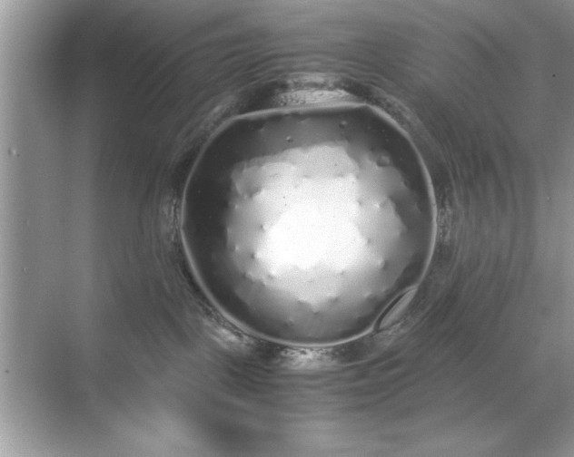 X0000071840093200607072247