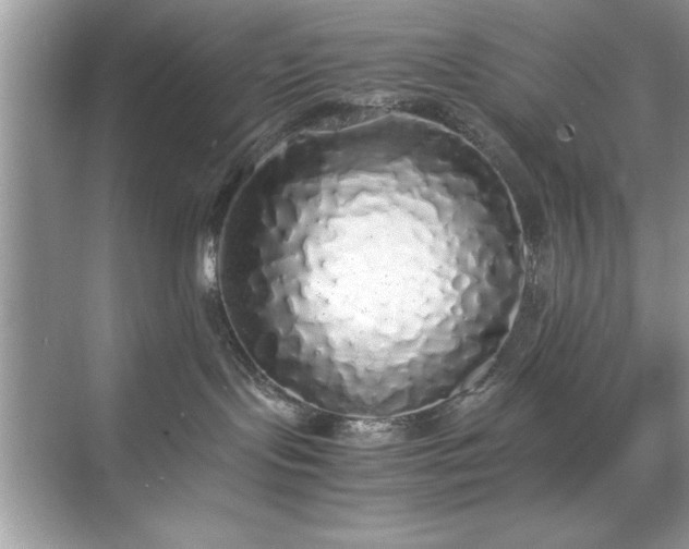 X0000071840095200607072247