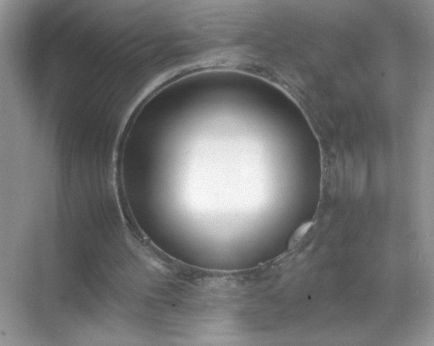 X0000071840100200607072246
