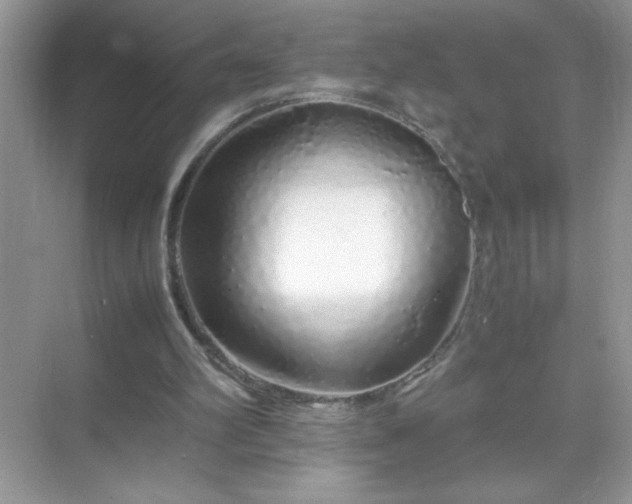 X0000071840102200607072246