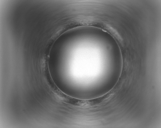 X0000071840113200607072246