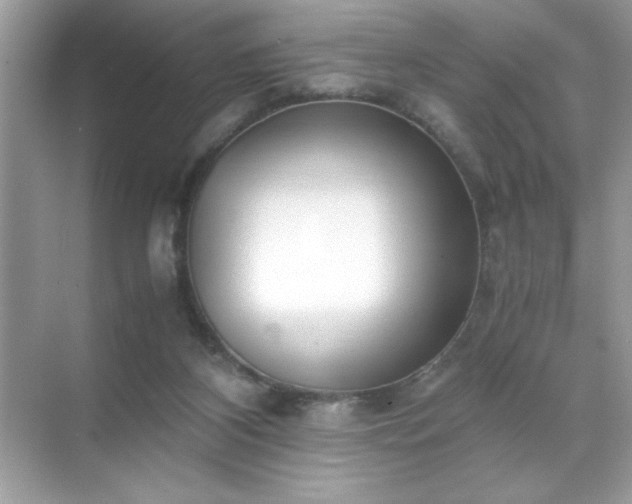 X0000071840116200607072246