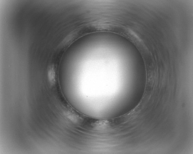 X0000071840124200607072245