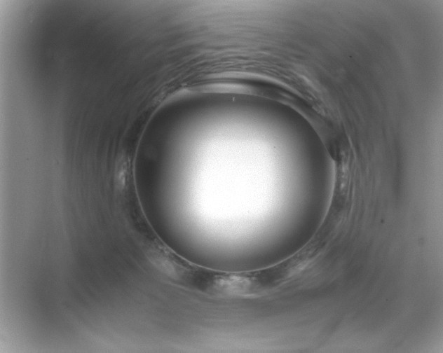 X0000071840125200607072245
