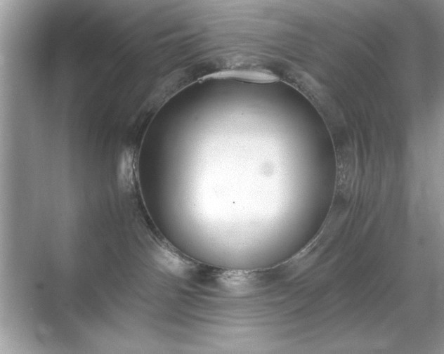 X0000071840142200607072245