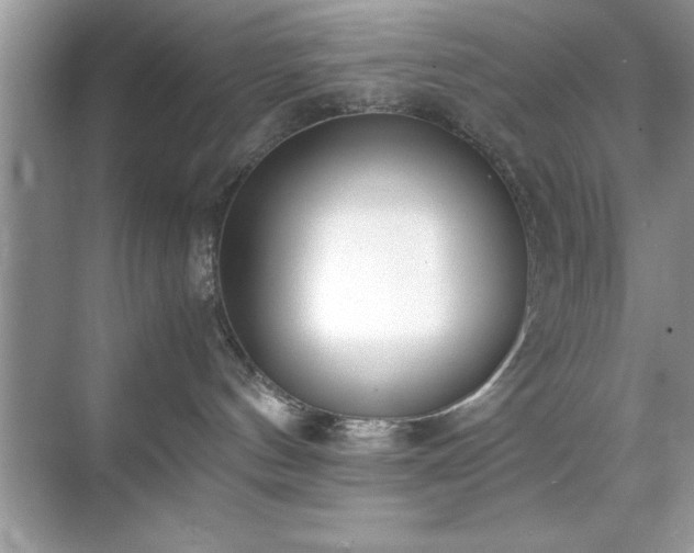 X0000071840144200607072245