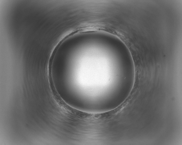 X0000071840148200607072244