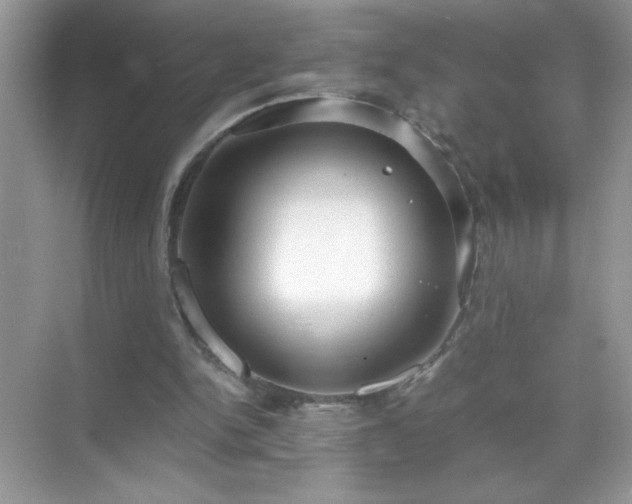 X0000071840150200607072244