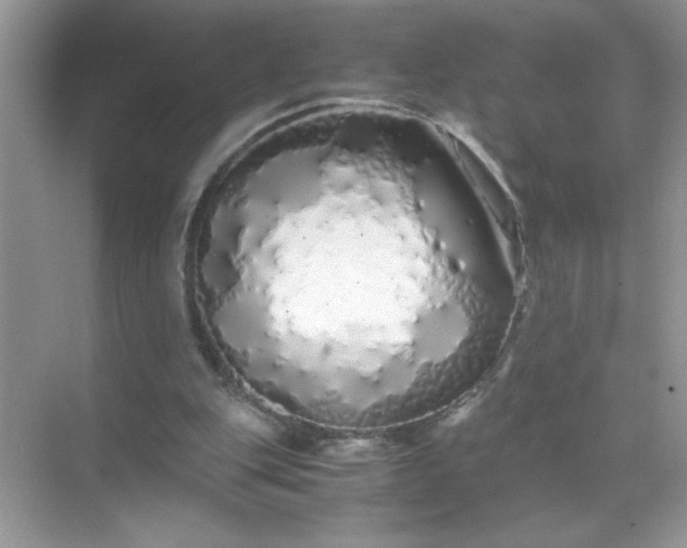 X0000071840151200607072244