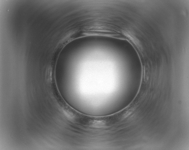 X0000071840157200607072244