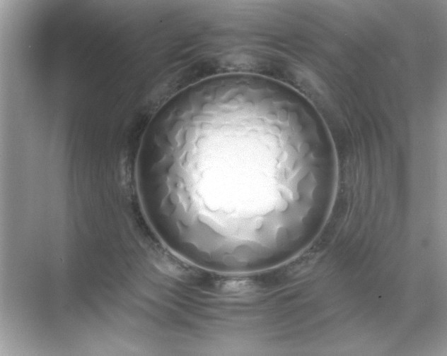 X0000071840173200607072245