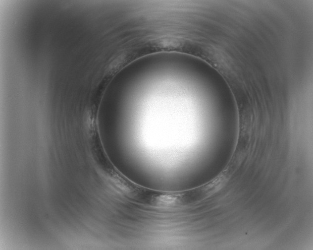 X0000071840176200607072245