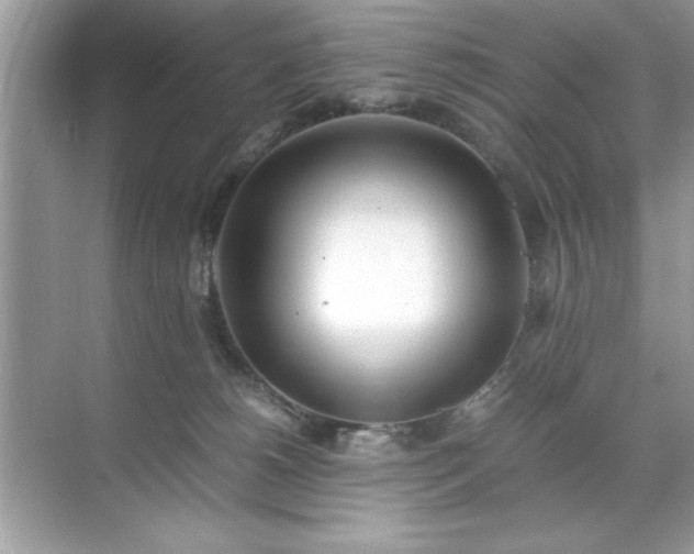 X0000071840180200607072245