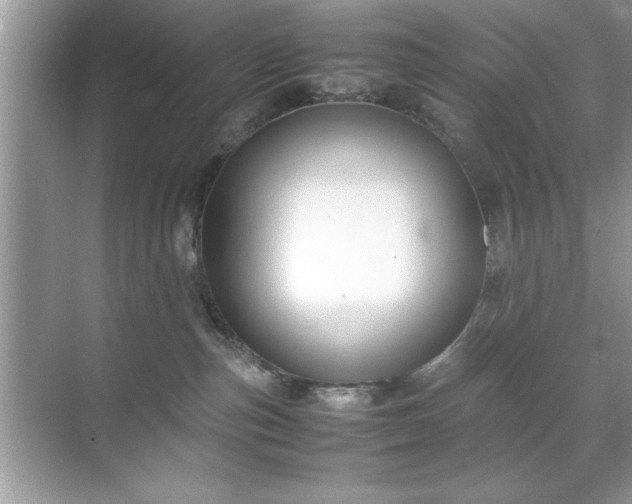 X0000071840187200607072245