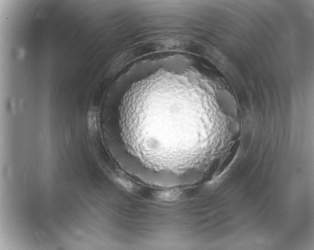 X0000071840191200607072245