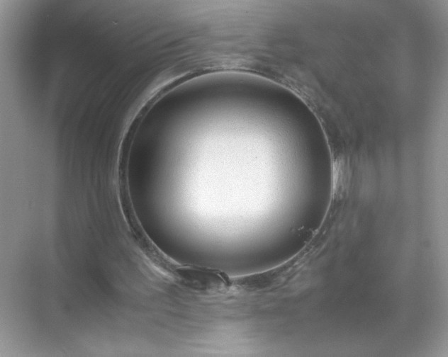 X0000071840195200607072244