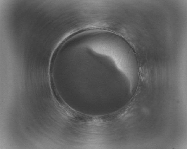 X0000071840196200607072244