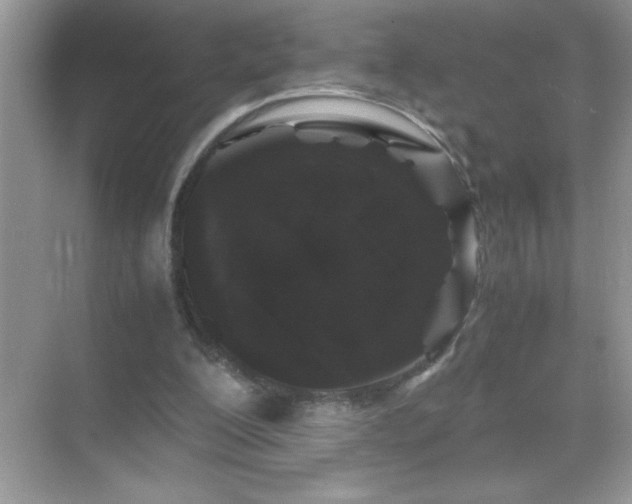 X0000071840200200607072244