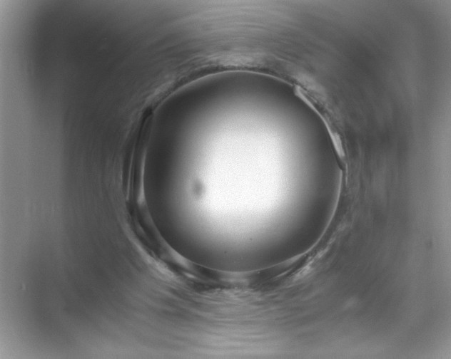 X0000071840201200607072244