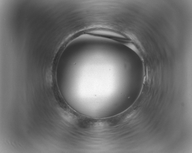 X0000071840204200607072244