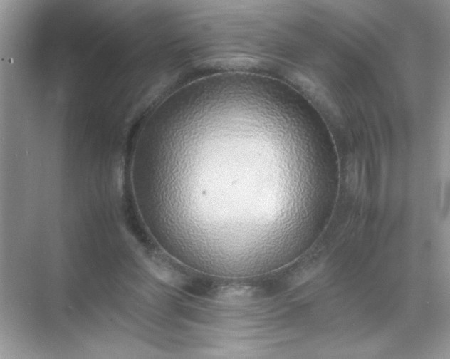 X0000071840206200607072244