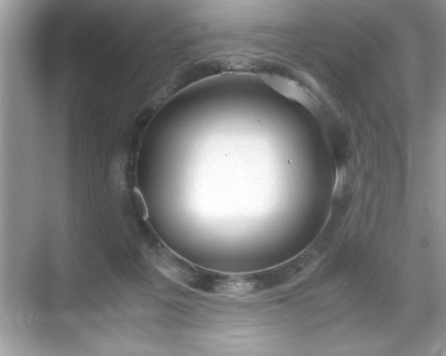 X0000071840217200607072244