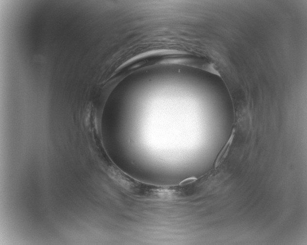 X0000071840233200607072244