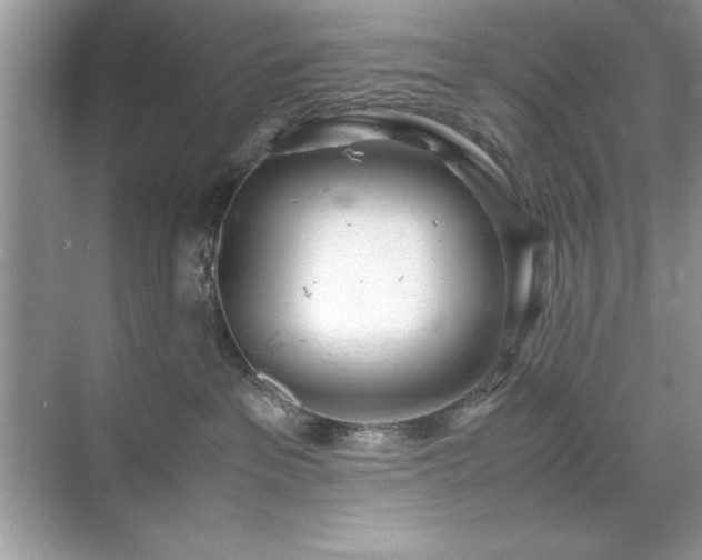 X0000071840237200607072243