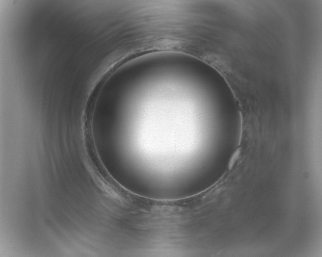 X0000071840242200607072243