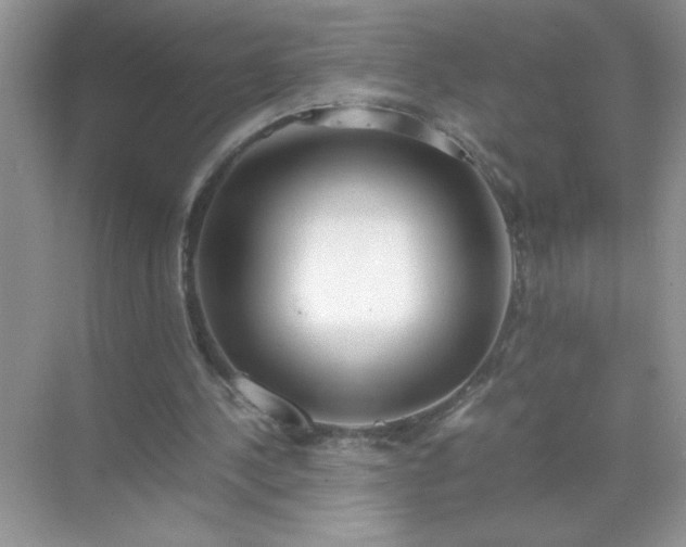 X0000071840244200607072243