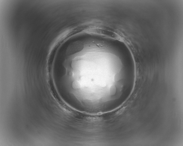 X0000071840245200607072243
