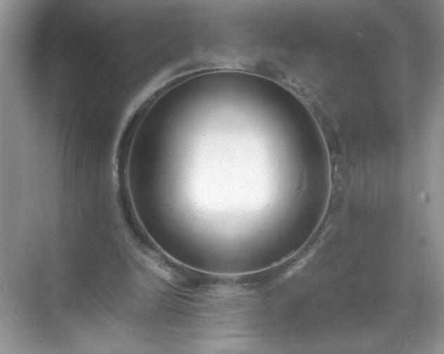 X0000071840246200607072243