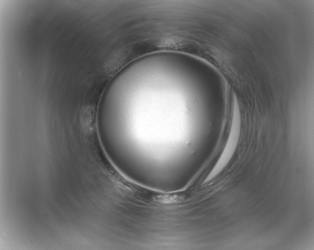 X0000071840273200607072243