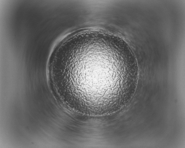 X0000071840294200607072243