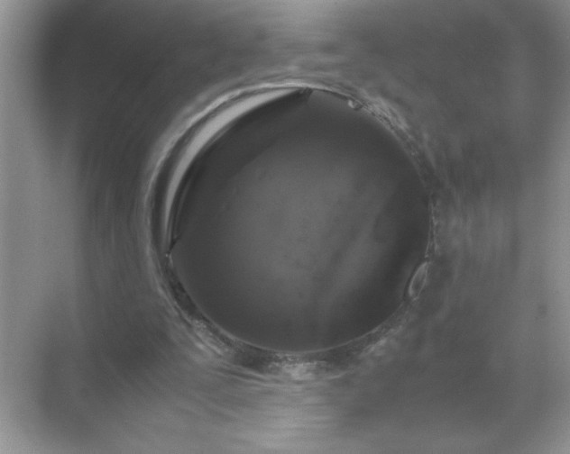 X0000071840295200607072243