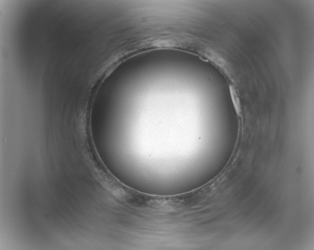 X0000071840297200607072242