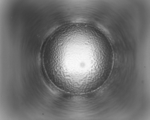 X0000071840298200607072242