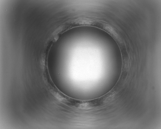 X0000071840309200607072242