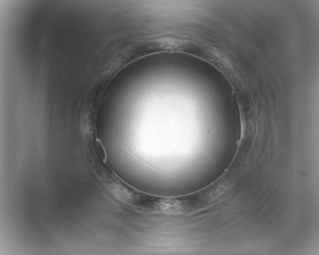 X0000071840317200607072242