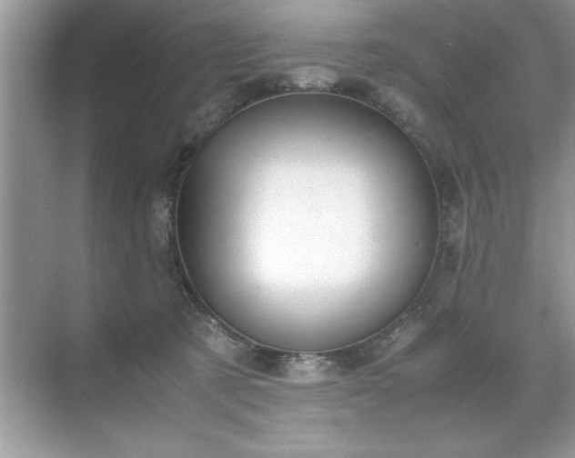 X0000071840321200607072242