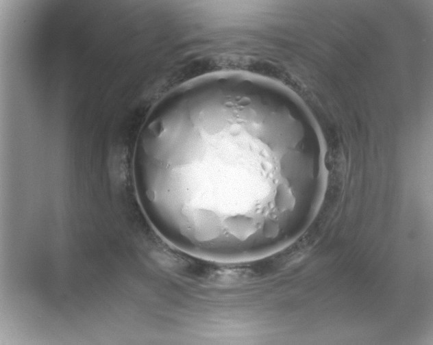 X0000071840323200607072242