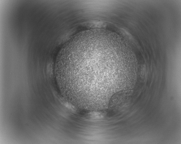 X0000071840326200607072242