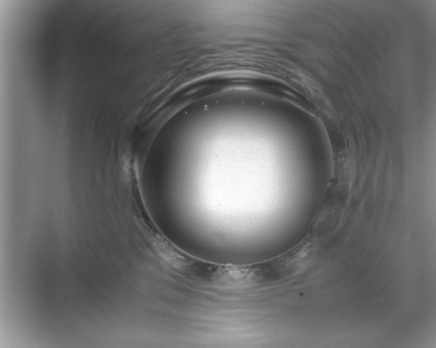 X0000071840329200607072242