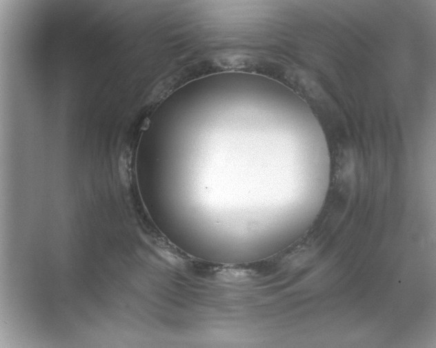 X0000071840332200607072242