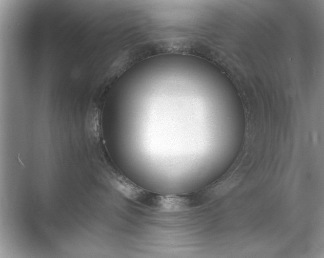 X0000071840336200607072242