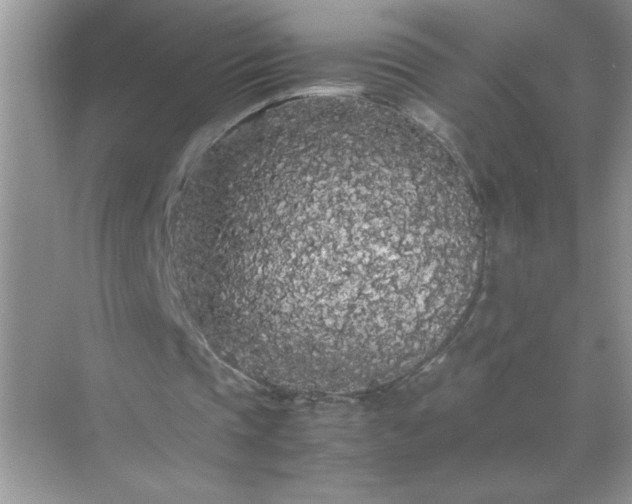 X0000071840337200607072241