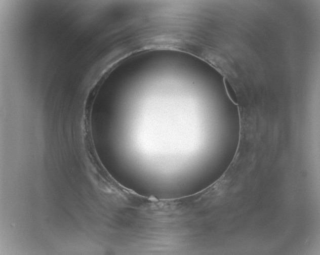 X0000071840338200607072241