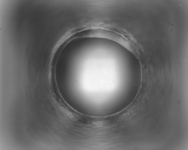 X0000071840344200607072241