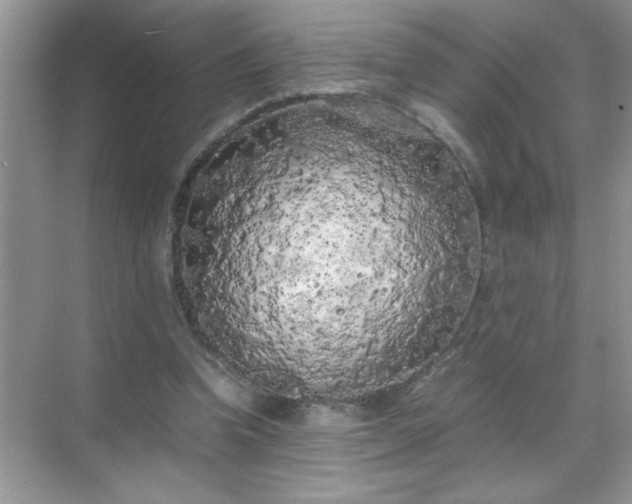 X0000071840346200607072241