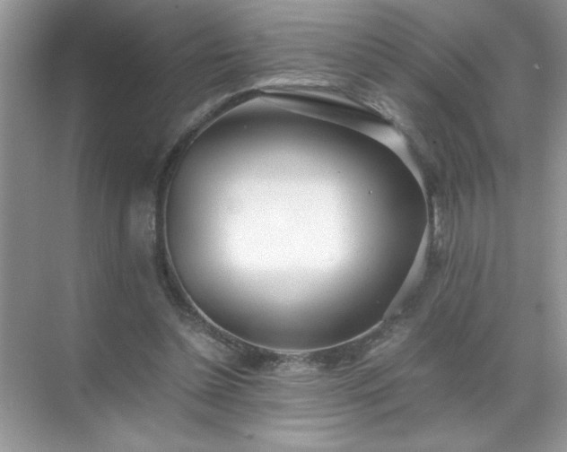 X0000071840348200607072241